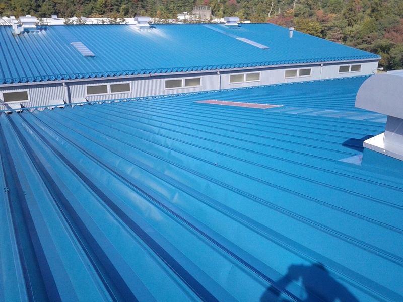屋根塗装 四日市市/S工場様の屋根写真